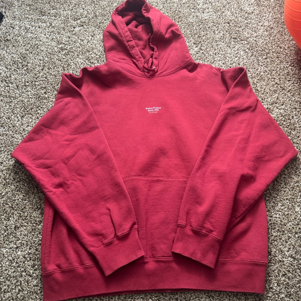 Supreme World Famous Micro Hooded Sweatshirt